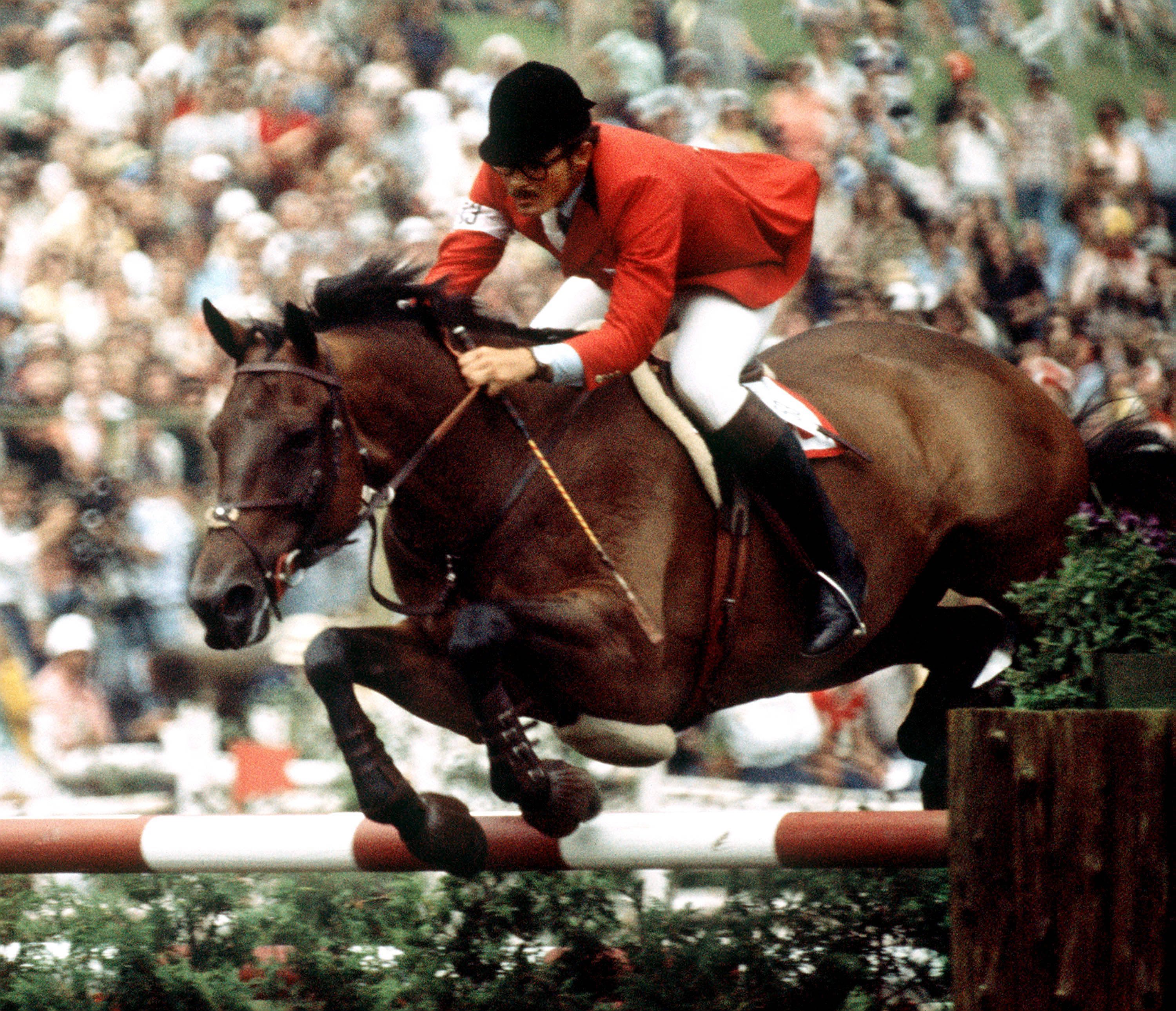 Equestrian