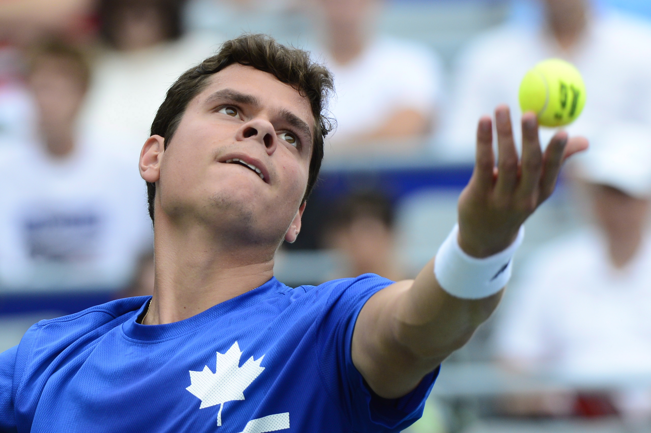 Canada Charts Two Singles in Tennis Top 40 with Raonic and Pospisil