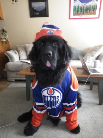 05facd13273362f427f0ec4d1b175afe Photo: http://bit.ly/10FhGG6