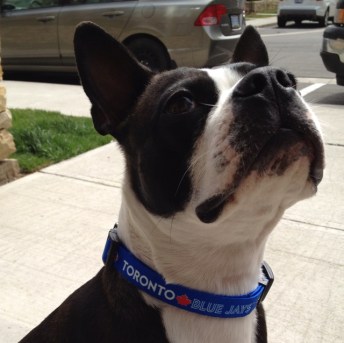 0a34a69d02552687094700b7ab3fcf78 Photo: http://bit.ly/10FioTR