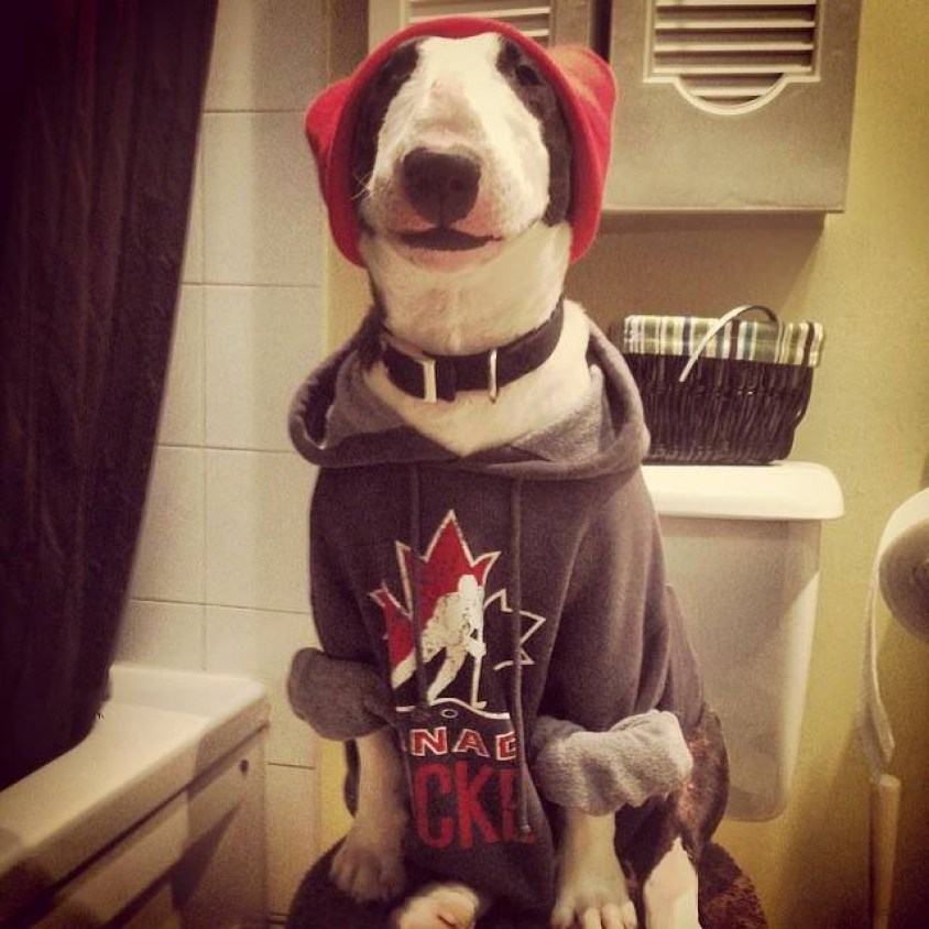 1551472_10152038325773264_51473916_n Photo via Instagram @karla_roberts91