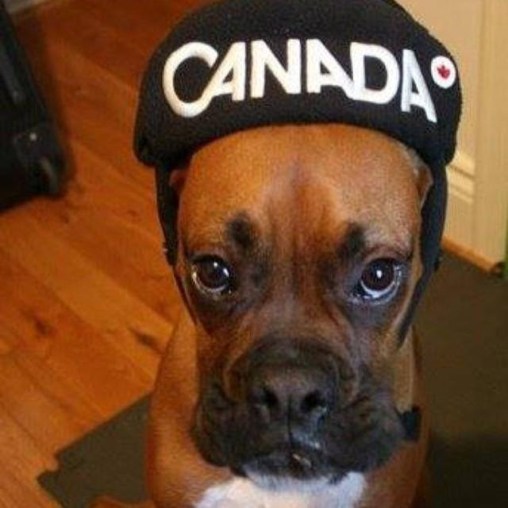 1891051_10152038301353264_2066996312_n Photo via Instagram @icanbox