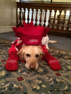 1899943_10152038301368264_1058711246_n Photo via Twitter @GarrettTurta