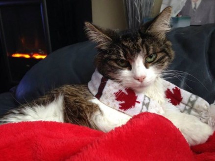 1901363_10152038329088264_1290574147_n Photo via Twitter @kay_buckle