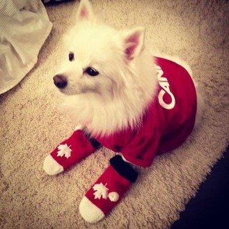 1932232_10152038301203264_196345122_n Photo via Instagram @bettytheeskie