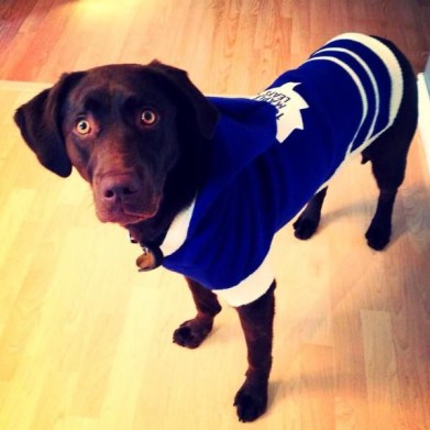 366e77129186ecf7a9def1777bf766c3 Photo: http://bit.ly/1DDa5nF