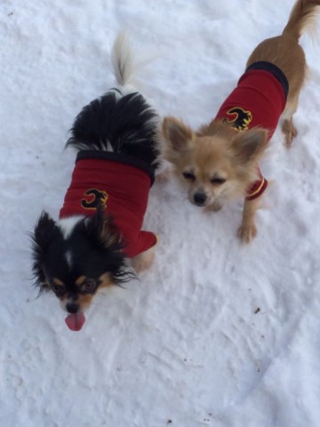 4017f4cea951cae5ce823b1982a92a51 Photo: http://bit.ly/1zmldau