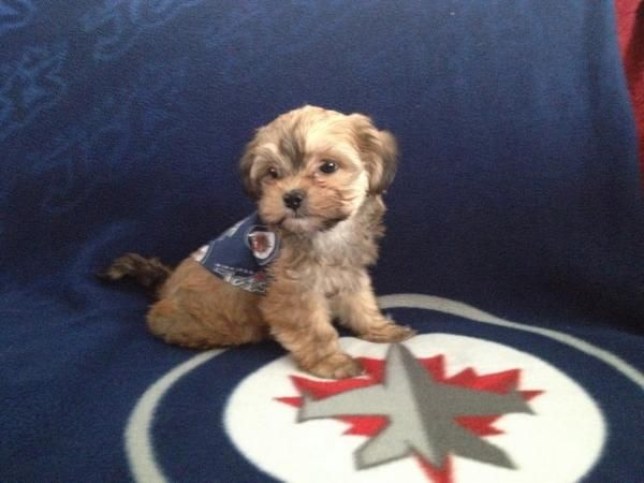 44dbaf1f1195c1747912b79a4718add6 Photo: http://bit.ly/1tpge3Y