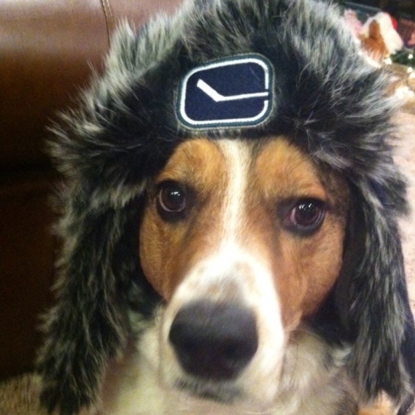 4dd2f8111dd216f3730ec3f1339bb9a9 Photo: http://bit.ly/1sQYvPt