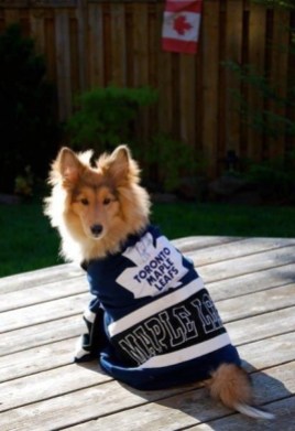 540cc5cb1240889a339b4a3107a38b3f Photo: http://bit.ly/1wNOrwv