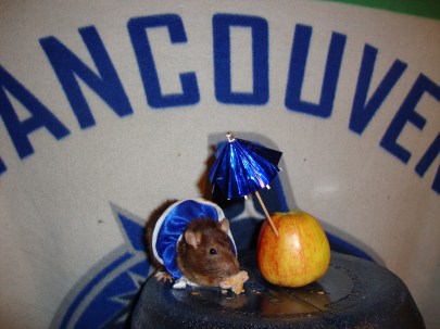 5645910156_060fa77436_b Photo: http://bit.ly/1sQY0F2