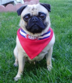 OLYMPUS DIGITAL CAMERA Photo: http://bit.ly/10FegTJ