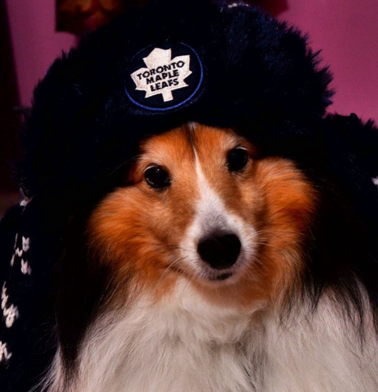 6919290047_f9eb948648_o Photo: http://bit.ly/1pb9AA2