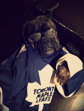 870a286d755b2c973b1932ed4221c5c1 Photo: http://bit.ly/1u0AbRt