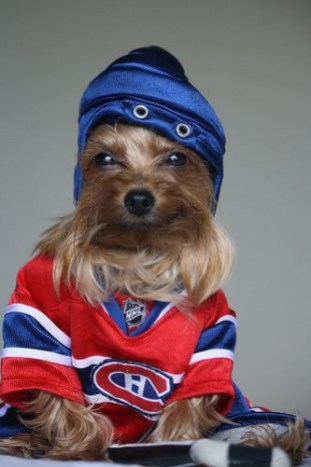 9841ff98d92e9f9efe013c7d79ef9404 Photo: http://bit.ly/1s0CsXh