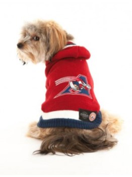 allouetes-dog2 Photo: http://bit.ly/1wNXs8N