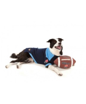 argos2 Photo: http://bit.ly/1wNXs8N