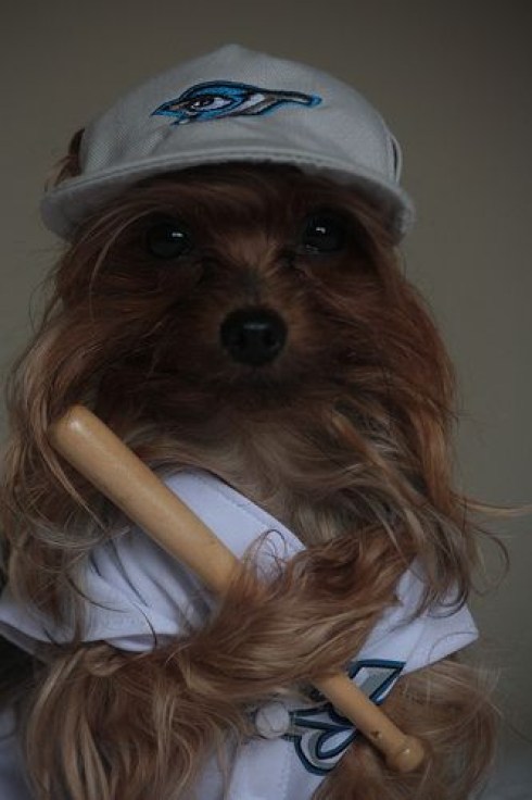 b3ba7a773489dfffcb20e1ec7b5935ae Photo: http://bit.ly/13p0FRv