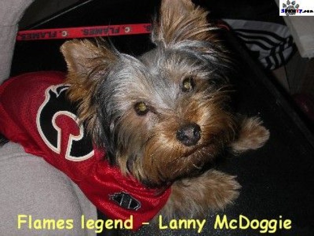 ba1d805c06aaf918c511290cade9c35c Photo: http://bit.ly/1u0LysL