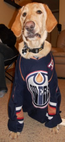 bb246bb76a84d6fb25c0b7f689adac8a Photo: http://bit.ly/1wkPwfi