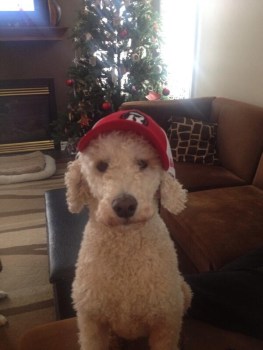 BcMUU02CIAEU2Uz Photo: http://bit.ly/1wNNFi4