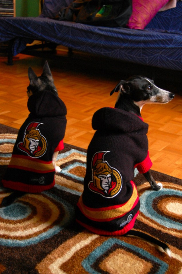 BHiQBEbCAAEeiBD Photo: http://bit.ly/1sQZ4Zl