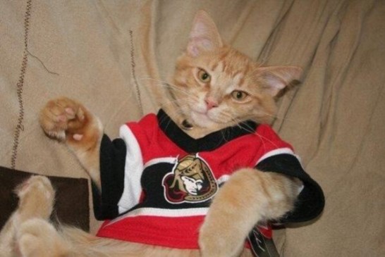 BHnhsS-CAAAnazw Photo: http://bit.ly/1ud041g