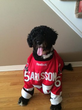 Bs1oXgzCcAA9dXV Photo: http://bit.ly/1E8x1x4