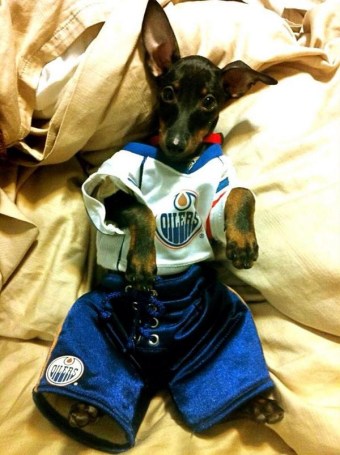 Bv-f9FvCcAAYfQ3 Photo: http://bit.ly/13p0ndt