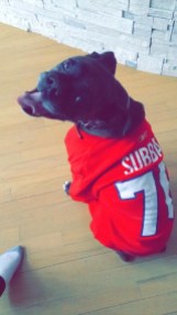 Bv-p8yOCUAAjJoU Photo: http://bit.ly/1u0H3ym