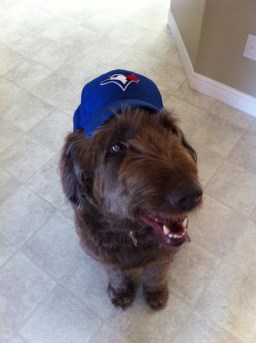 BvGnSQIIEAEGzXh Photo: http://bit.ly/1rGwjOL