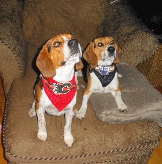 c2c9caf0315c523f42f29b78c42c198c Photo: http://bit.ly/10Fhoit