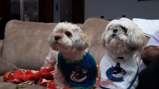 c4b81d806b4ee3f0c5e4f32ff13c1462 Photo: http://bit.ly/1E8x0Jm