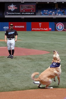 cccc Photo: http://bit.ly/1wkQbgU