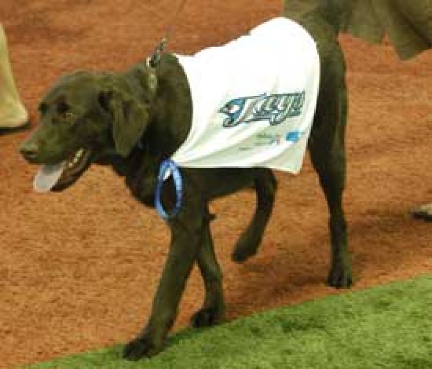 dog_day_275x235 Photo: http://bit.ly/10a8U1y