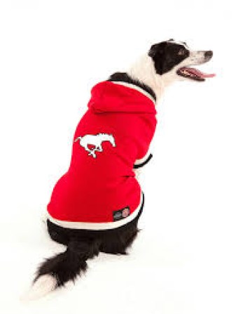 download (1) Photo: http://bit.ly/1wNXs8N