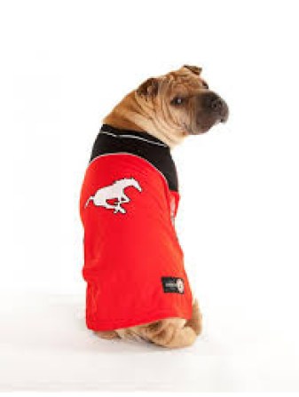 download Photo: http://bit.ly/1wNXs8N