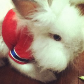 e13c1b3055e9cb00e976dd14b6c12d39 Photo: http://bit.ly/1zRnHz4