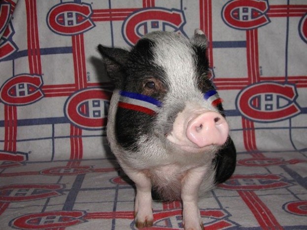 fa938afe6d6bbc138192e7fa89a1496f Photo: http://bit.ly/1xIihRr