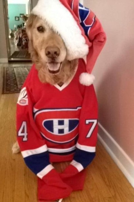 gallery_0_17_78574 Photo: http://bit.ly/1yMc9J3