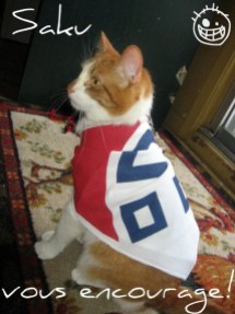 gallery_370008_18_44383 Photo: http://bit.ly/1wkN7kV