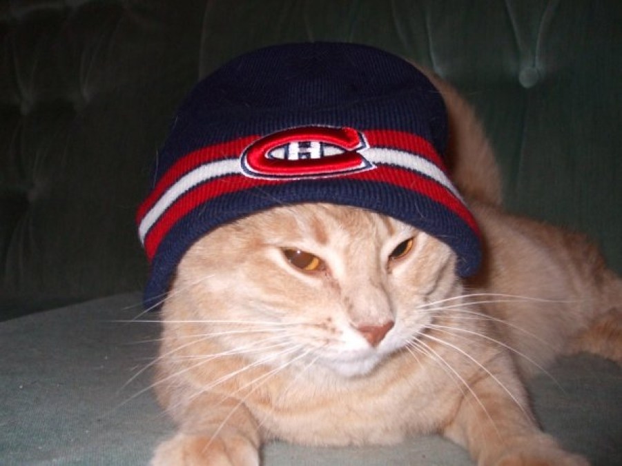 gallery_370008_18_5305 Photo: http://bit.ly/1voqO9O