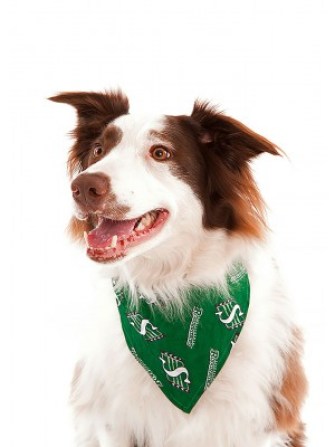 sask_1 Photo: http://bit.ly/1wNXs8N