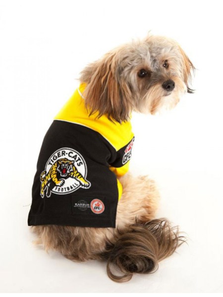 ticats-dog2 Photo: http://bit.ly/1wNXs8N