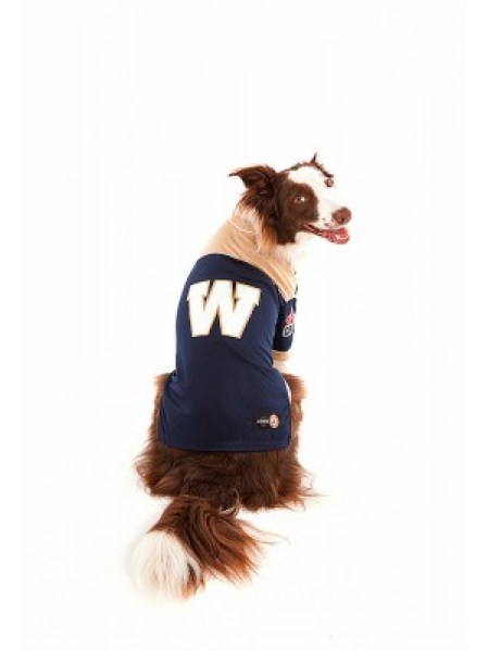 winnipeg1 Photo: http://bit.ly/1wNXs8N