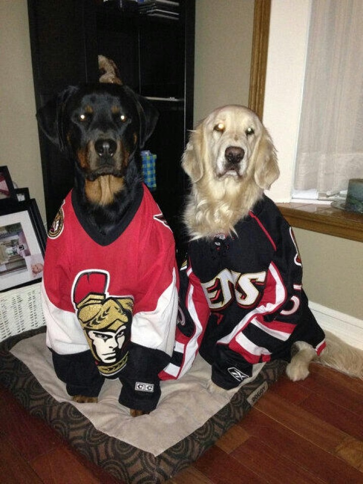 xBHibnqwCUAAszBu Photo: http://bit.ly/1tonCyf