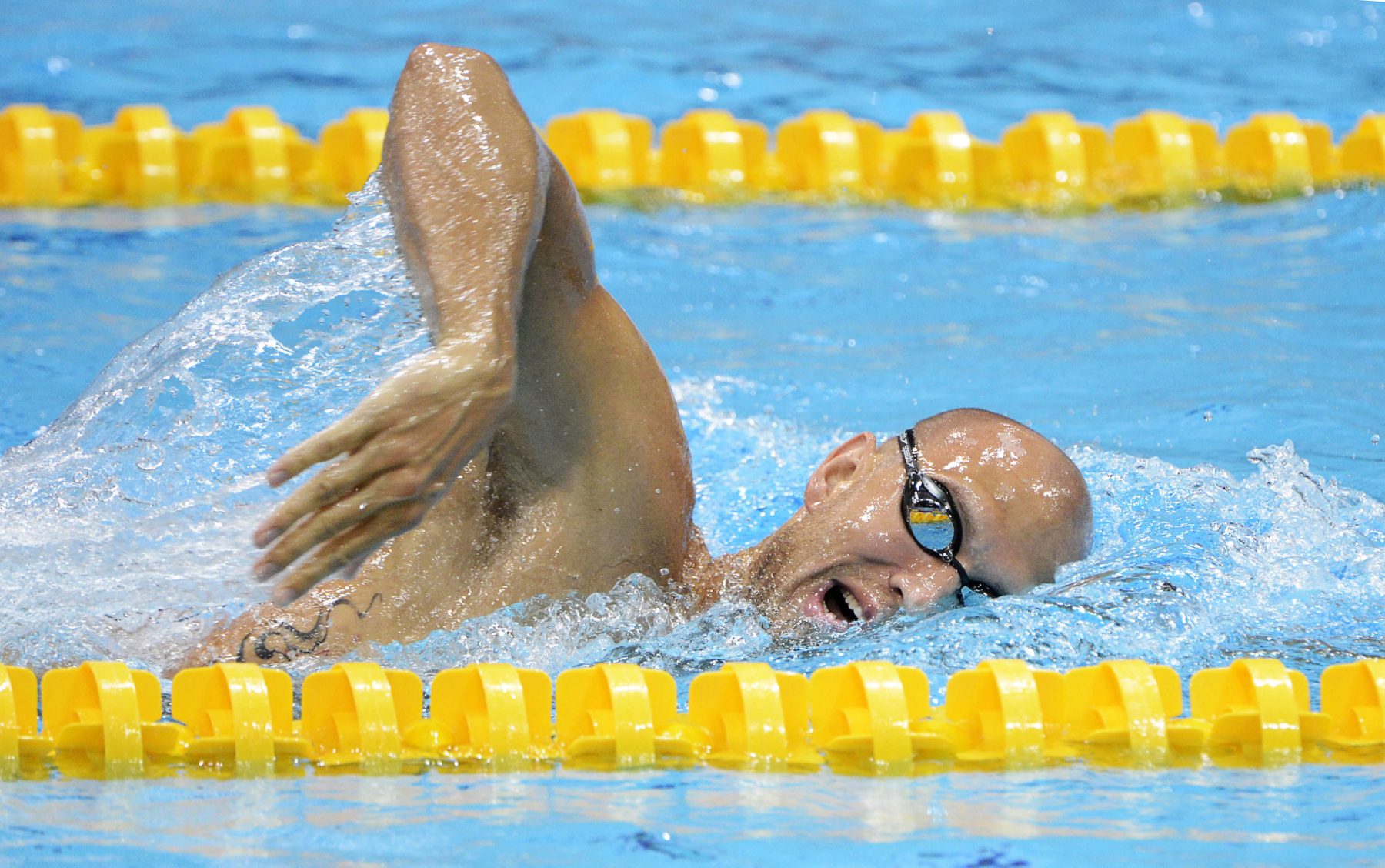 Swimming Team Canada Official Olympic Team Website