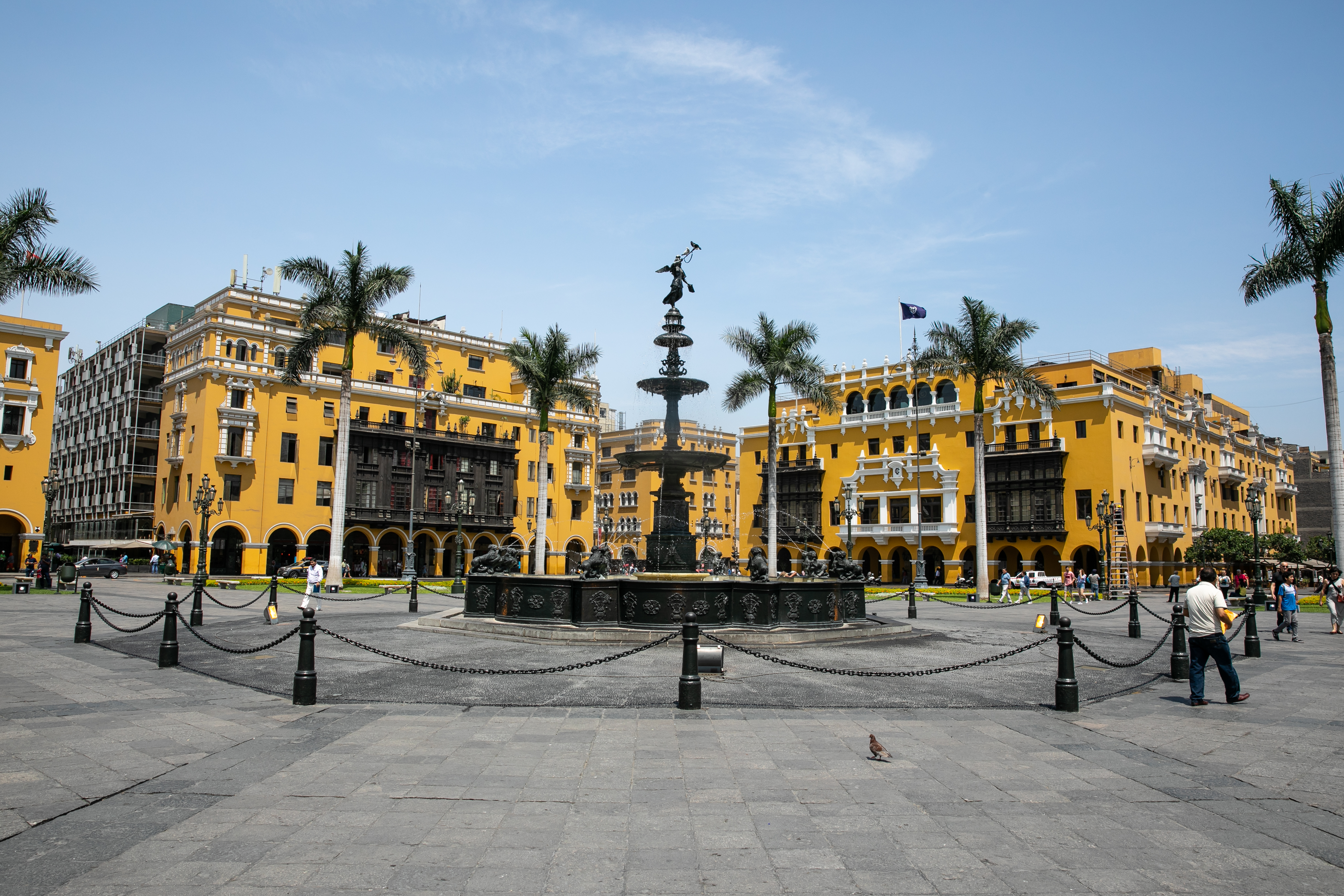 Yellow buildings with palm trees in front