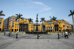 Yellow buildings with palm trees in front
