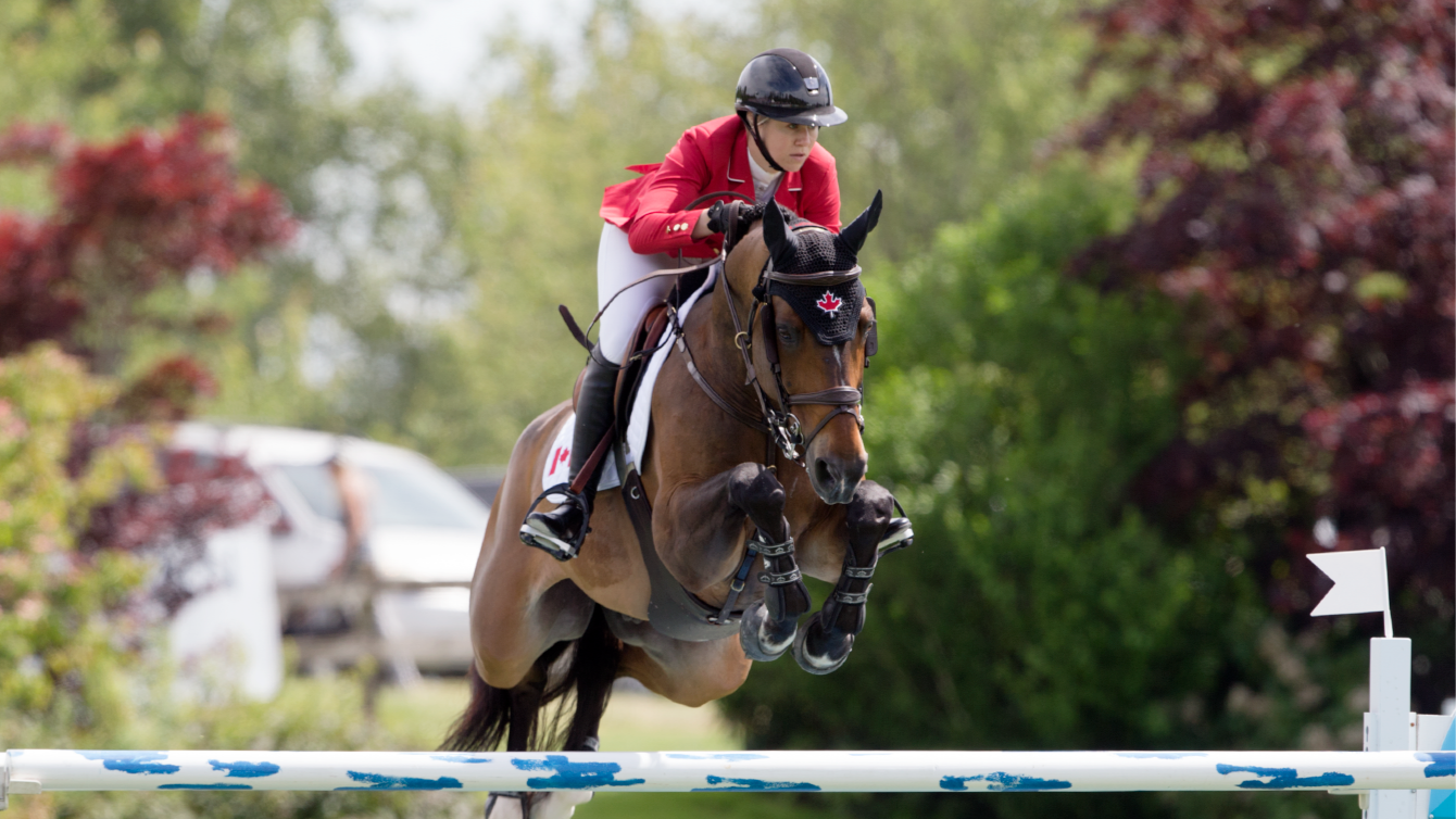 komen Bier Pas op Canadian Equestrian Team Nominated for Lima 2019 Pan American Games - Team  Canada - Official Olympic Team Website